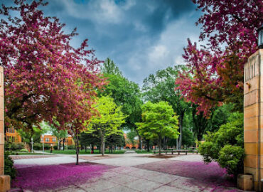 Minnesota State University Moorhead