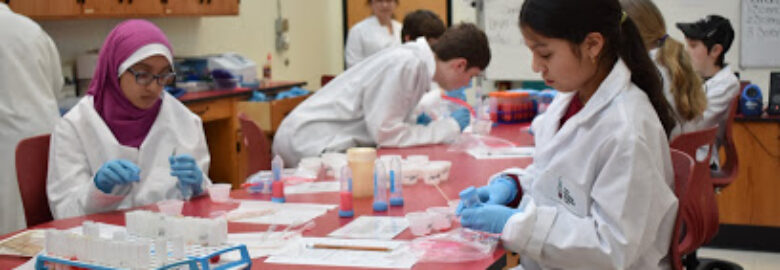 The Citizen Science Lab