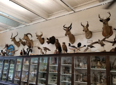 The Nature Lab at Rhode Island School of Design