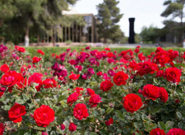 University of Nevada, Las Vegas
