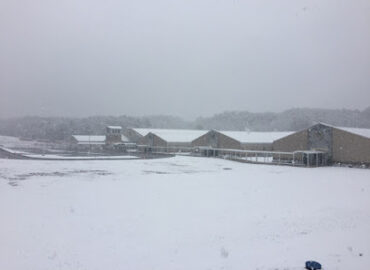 Helena Intermediate School
