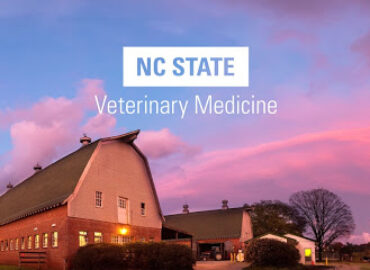 The NC State College of Veterinary Medicine