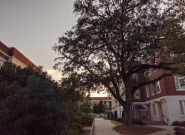 Georgia College